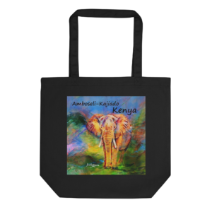 Sacola Orgânica Ambroseli — Kajiado, Kenya — Coleção Belaqua