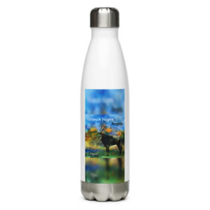 Palanca Negra Angola Stainless Steel Water Bottle — Belaqua Collection